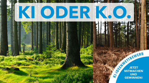 Künstliche Intelligenz im Wald Künstliche Intelligenz im Wald