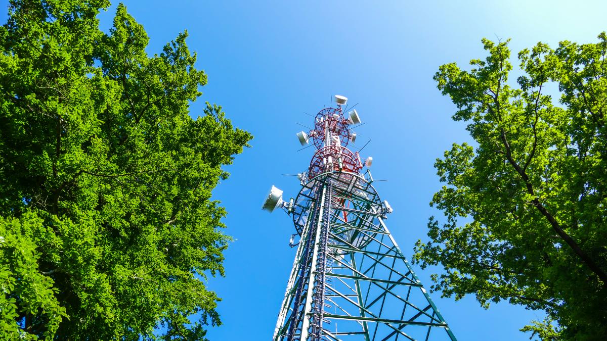 Аренда земли под сотовые вышки. Вышки 5g в Санкт-Петербурге. Вышки 5g. Вышка 5g с Ковидом. Сотовая вышка.